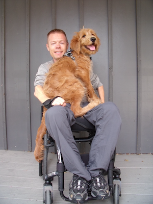 A fluffy, medium-sized golden retriever mix dog is overflowing the lap of a man in a push chair. Both are smiling.