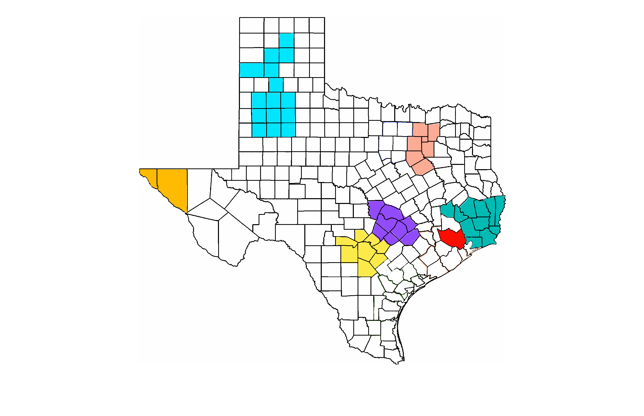 CDS service counties marked on map of Texas